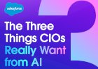 The Three Things CIOs Really Want from AI