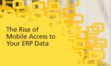 The Rise Of Mobile Access To Your ERP Data