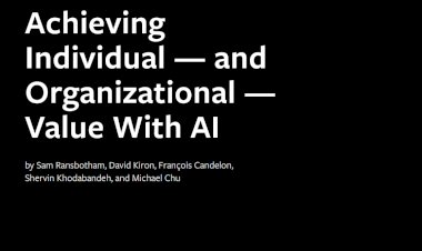 Achieving Individual and Organizational  Value With AI