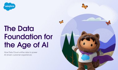 See how you can build a data strategy for the age of AI.