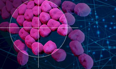 Utilizing AI for Predicting Protein Complexes and Virus Prevention