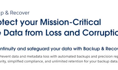Protect your Salesforce Data