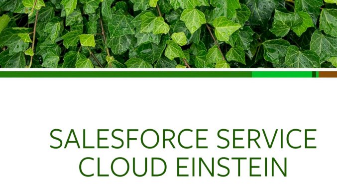 Learn how to get the most out of your services with trusted AI.